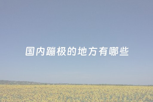 国内蹦极的地方有哪些（国内蹦极的地方有哪些好玩的）