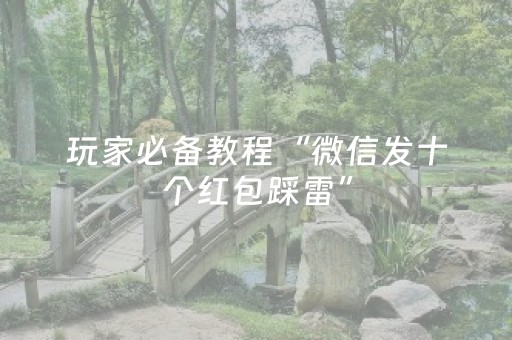 玩家必备教程“微信发十个红包踩雷”（详细透视教程）-哔哩哔哩