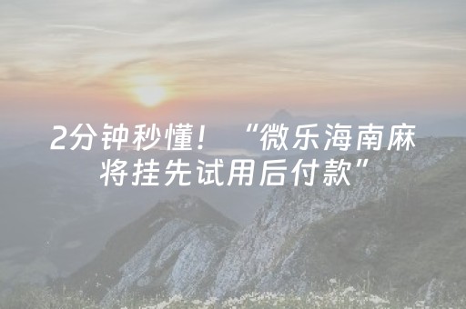 2分钟秒懂！“微乐海南麻将挂先试用后付款”（详细透视教程）-哔哩哔哩