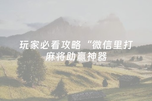 玩家必看攻略“微信里打麻将助赢神器（专用辅牌神器免安装）