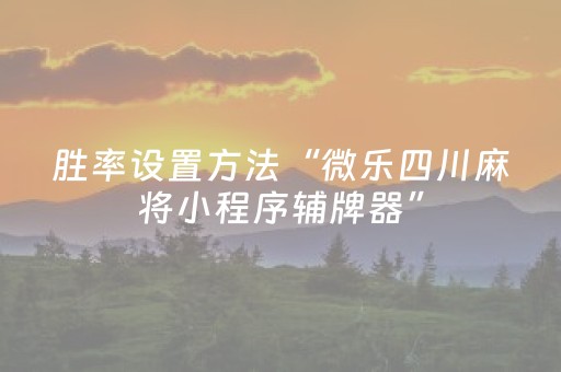 胜率设置方法“微乐四川麻将小程序辅牌器”（详细透视教程）-哔哩哔哩