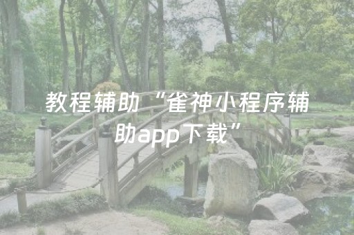教程辅助“雀神小程序辅助app下载”（详细透视教程）-哔哩哔哩