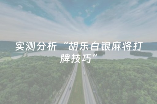 实测分析“胡乐白银麻将打牌技巧”（详细透视教程）-哔哩哔哩