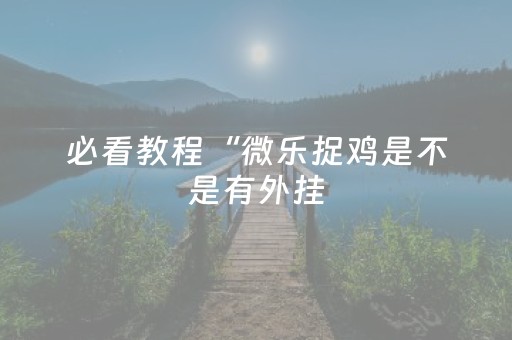 必看教程“微乐捉鸡是不是有外挂（专用辅牌神器免安装）