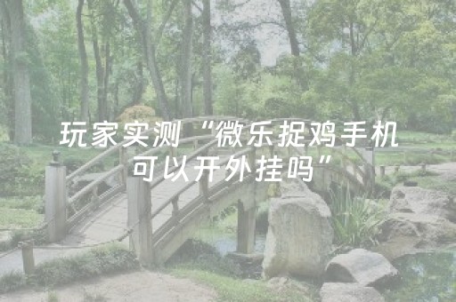 玩家实测“微乐捉鸡手机可以开外挂吗”（详细透视教程）-哔哩哔哩