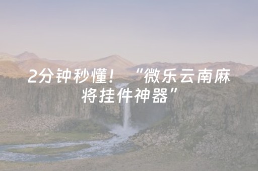 2分钟秒懂！“微乐云南麻将挂件神器”（详细开挂教程）-哔哩哔哩