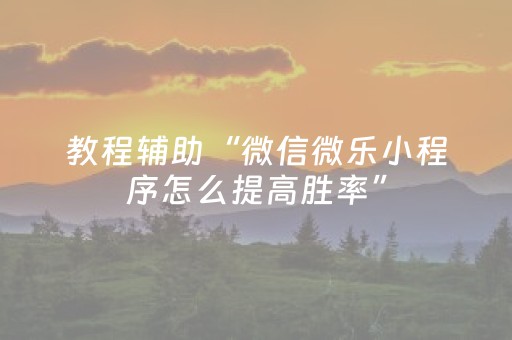 教程辅助“微信微乐小程序怎么提高胜率”（详细透视教程）-哔哩哔哩