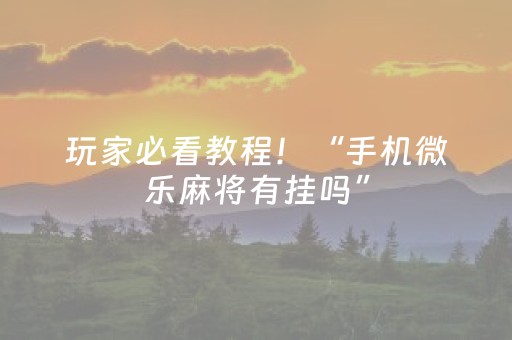 玩家必看教程！“手机微乐麻将有挂吗”（详细辅助教程）-哔哩哔哩