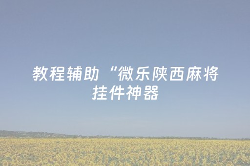 教程辅助“微乐陕西麻将挂件神器（专用辅牌神器免安装）