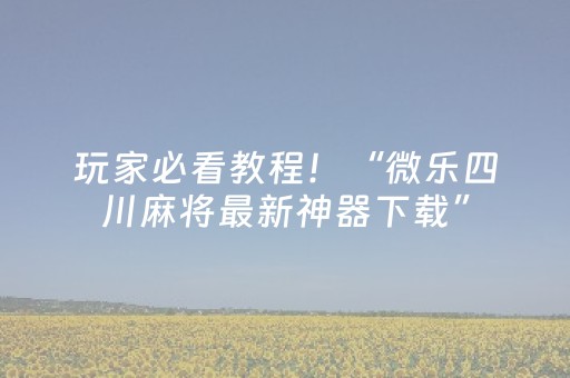 玩家必看教程！“微乐四川麻将最新神器下载”（详细辅助教程）-哔哩哔哩