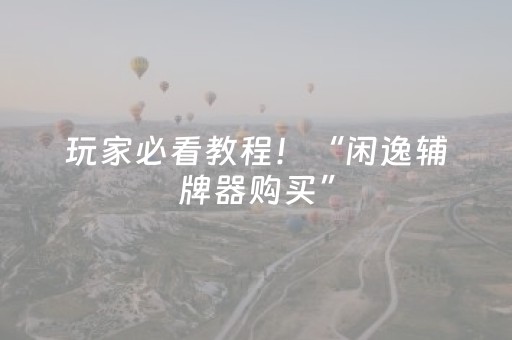 玩家必看教程！“闲逸辅牌器购买”（详细辅助教程）-哔哩哔哩
