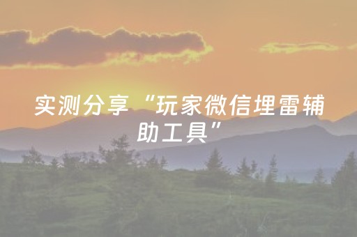 实测分享“玩家微信埋雷辅助工具”（详细透视教程）-哔哩哔哩