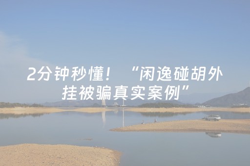 2分钟秒懂！“闲逸碰胡外挂被骗真实案例”（详细透视教程）-哔哩哔哩