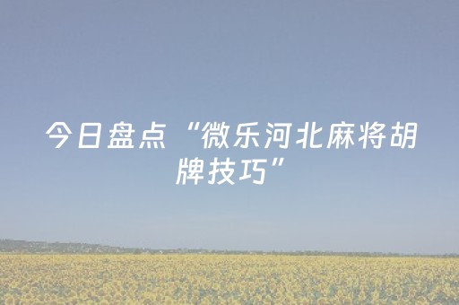 今日盘点“微乐河北麻将胡牌技巧”（详细透视教程）-哔哩哔哩