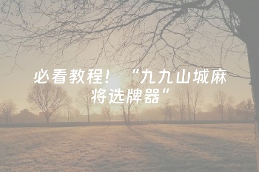 必看教程！“九九山城麻将选牌器”（详细辅助教程）-哔哩哔哩