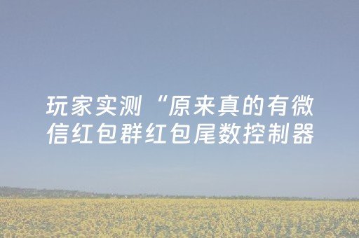 玩家实测“原来真的有微信红包群红包尾数控制器”（详细透视教程）-哔哩哔哩