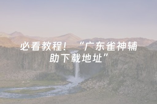 必看教程！“广东雀神辅助下载地址”（详细辅助教程）-哔哩哔哩