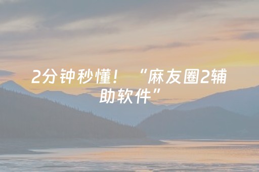 2分钟秒懂！“麻友圈2辅助软件”（详细透视教程）-哔哩哔哩