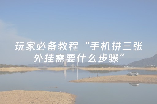 玩家必备教程“手机拼三张外挂需要什么步骤”（详细透视教程）-哔哩哔哩