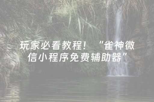 玩家必看教程！“雀神微信小程序免费辅助器”（详细辅助教程）-哔哩哔哩