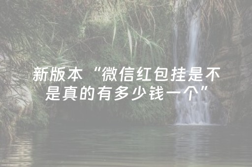 新版本“微信红包挂是不是真的有多少钱一个”（详细透视教程）-哔哩哔哩
