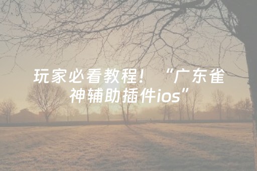 玩家必看教程！“广东雀神辅助插件ios”（详细透视教程）-哔哩哔哩
