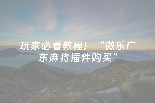 玩家必看教程！“微乐广东麻将插件购买”（详细透视教程）-哔哩哔哩
