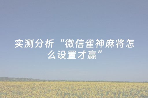 实测分析“微信雀神麻将怎么设置才赢”（详细辅助教程）-哔哩哔哩