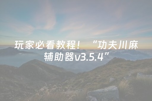 玩家必看教程！“功夫川麻辅助器v3.5.4”（详细开挂教程）-哔哩哔哩