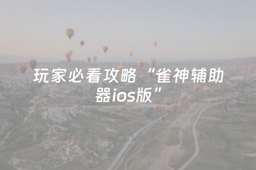 玩家必看攻略“雀神辅助器ios版”（详细透视教程）-哔哩哔哩