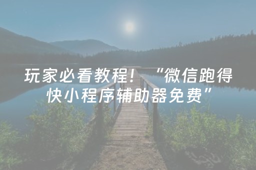 玩家必看教程！“微信跑得快小程序辅助器免费”（详细辅助教程）-哔哩哔哩