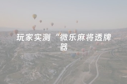 玩家实测“微乐麻将透牌器（专用辅牌神器免安装）