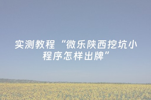 实测教程“微乐陕西挖坑小程序怎样出牌”（详细透视教程）-哔哩哔哩