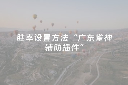 胜率设置方法“广东雀神辅助插件”（详细透视教程）-哔哩哔哩