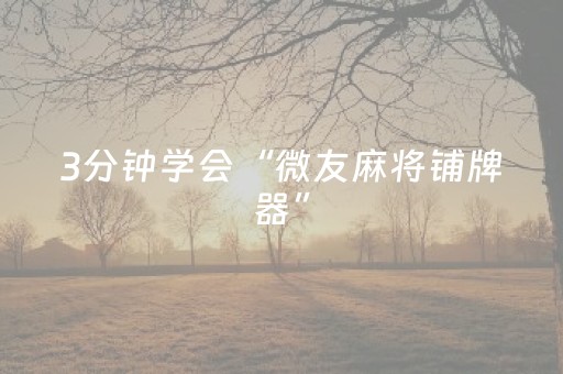 3分钟学会“微友麻将铺牌器”（详细透视教程）-哔哩哔哩