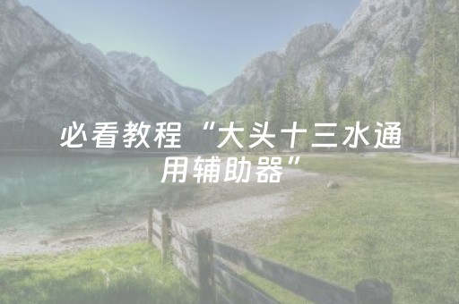 必看教程“大头十三水通用辅助器”（详细透视教程）-哔哩哔哩