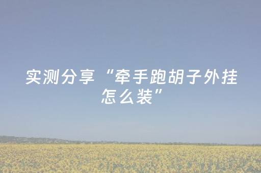 实测分享“牵手跑胡子外挂怎么装”（详细开挂教程）-哔哩哔哩