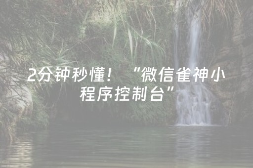 2分钟秒懂！“微信雀神小程序控制台”（详细开挂教程）-哔哩哔哩