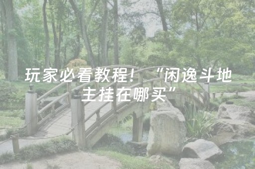 玩家必看教程！“闲逸斗地主挂在哪买”（详细辅助教程）-哔哩哔哩