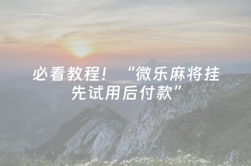 必看教程！“微乐麻将挂先试用后付款”（详细辅助教程）-哔哩哔哩