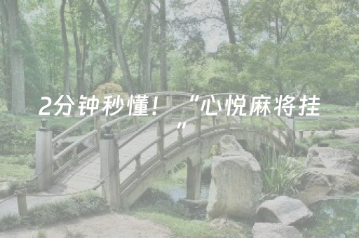 2分钟秒懂！“心悦麻将挂”（详细透视教程）-哔哩哔哩