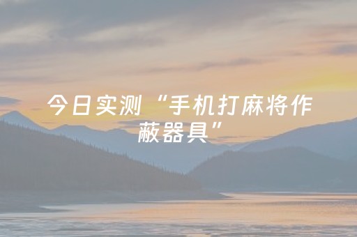 今日实测“手机打麻将作蔽器具”（详细辅助教程）-哔哩哔哩