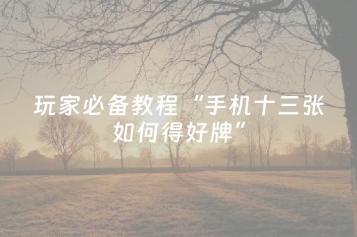 玩家必备教程“手机十三张如何得好牌”（详细透视教程）-哔哩哔哩