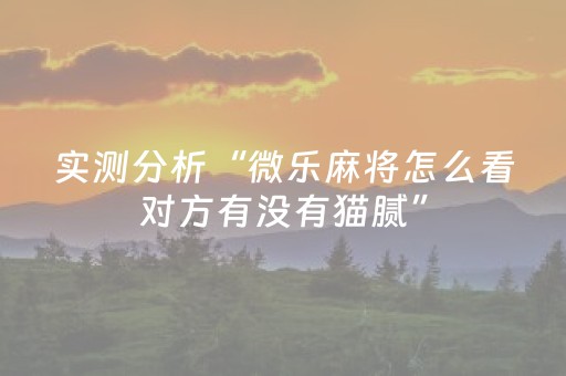实测分析“微乐麻将怎么看对方有没有猫腻”（详细透视教程）-哔哩哔哩