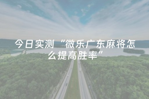今日实测“微乐广东麻将怎么提高胜率”（详细开挂教程）-哔哩哔哩