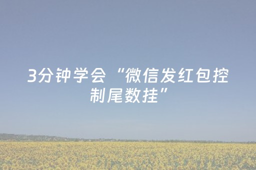 3分钟学会“微信发红包控制尾数挂”（详细透视教程）-哔哩哔哩