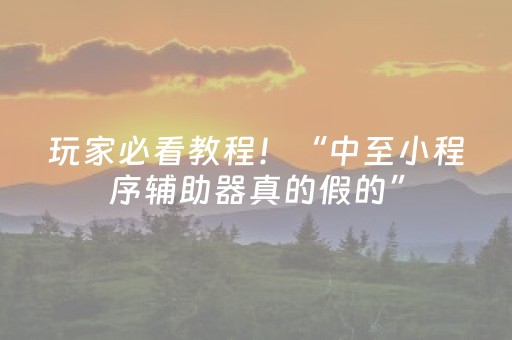 玩家必看教程！“中至小程序辅助器真的假的”（详细开挂教程）-哔哩哔哩