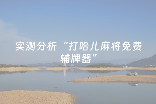 实测分析“打哈儿麻将免费辅牌器”（详细开挂教程）-哔哩哔哩