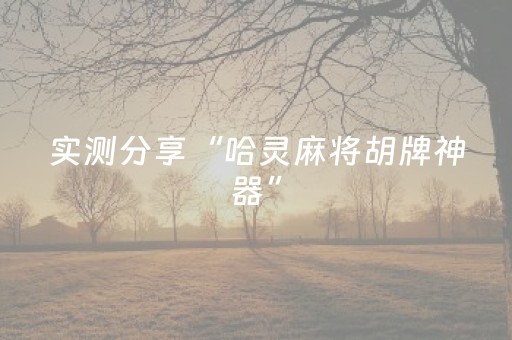 实测分享“哈灵麻将胡牌神器”（详细透视教程）-哔哩哔哩