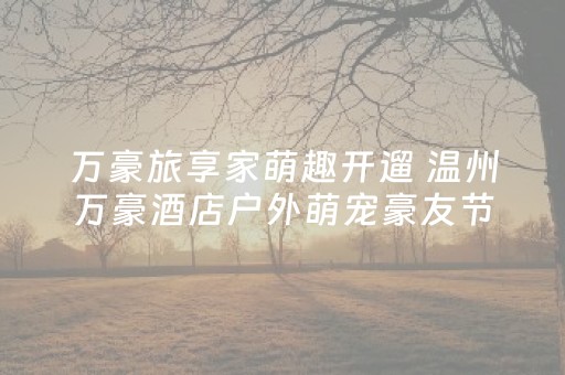 河南一日游最佳景点推荐（河南一日游的景点）